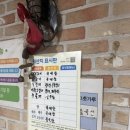 광수네짜장 - 전주시 완산구 한두평3길 11-3 | 광수네짜장