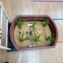 가평곤충농장 이미지