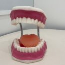 부산아동발달치료연구소 네이버블로그