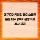 대구강아지분양 마마스미독 본점 | 대구강아지분양 마마스미독 본점 대구강아지분양무료주차 제공
