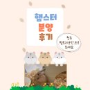 햄토리 군단 | 청주 햄토리군단에서 햄스터 분양후기 공유해요.