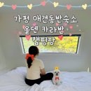 19 | 가평 애견동반숙소 올덴카라반캠핑장 개인정원19호 후기 서울근교 애견동반숙소추천 가평가족여행