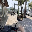 당일치기 뚜벅이 경주여행 코스추천 : 경북천년의숲 포토스팟, 스쿠터 2시간코스, 중앙시장 통닭...