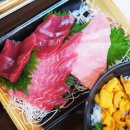 참치랜드 이미지