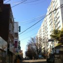 서울송화초등학교 이미지