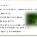 맨땅 이미지