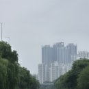 용답어린이공원(매매센터) | [러닝코스-서울] 성수동 옆 중랑천 10km, 용답역~월릉교