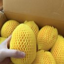 신선식품 | 올봄 첫 과일, 성주 고당도 꿀 참외 5kg 산지직송 네이버스마트스토어 경북성주 정길식 참외 솔직 후기