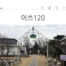 카페120 티스토리