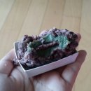 신망애한의원 이미지