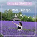 푸른농장 해바라기 | 삿포로 비에이투어 내돈내산 솔직후기 ft.삿포로는 여름이다🪻