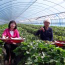 진명농장 이미지