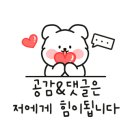 오케이동물병원 이미지
