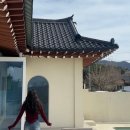 그랑재 | [경주 숙소추천] 감성 한옥 독채 그랑재｜(๑˃̵ᴗ˂̵) (자쿠지, 수영장, 바베큐 정리)