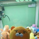 뽑끼뽑끼 이미지