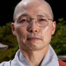 나무물고기 이미지