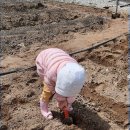 솔아농장 이미지