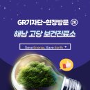 고당보건진료소 티스토리