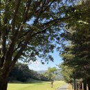 블루원CC (대중제) | 블루원용인 cc 라운딩 후기 10월 날씨 최고~