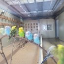 채운목장 이미지