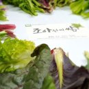 맛조아농장 이미지