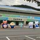 진남체육관길 이미지