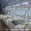 은하제일농장 이미지