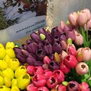 빈티지 살롱 이미지