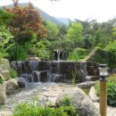포레스트 12 자연휴양림 이미지