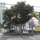 @ 서울 도심 성당 나들이, 중림동 약현성당~원효로예수성심성당 ＜용강동 정구중가옥, 독서당터＞ 이미지