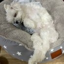 스카이래빗 홍대점 이미지