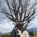 서구보건소 | 인천산후도우미 산후도우미 인천서구보건소 신청 업체선정 후기!!