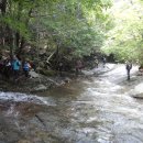 능동산&쇠점골 /경남 밀양, 울산 울주 이미지