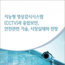 재난감시CCTV 이미지