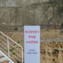 느티나무농장 | 양산 라벤더 농장카페 후기