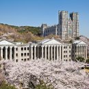 프로젝트엘비스 이미지