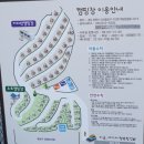 숨 | 마산 구산면 펜션 더숨포레스트 후기｜가족 나들이 추천!