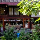 댕댕아리 이미지