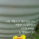 난 이미지