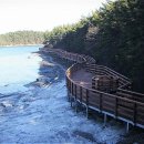 안녕비토 이미지