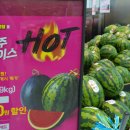 핫프라이스