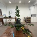 화훼장식(플로리스트) | 명동 프라시아 플라워 플로리스트 학원 _ 화훼장식기능사 수업 수강후기