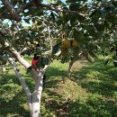 사천강1길 이미지