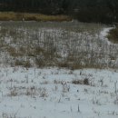 복평농장 이미지