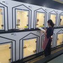 펫브릿지 이미지