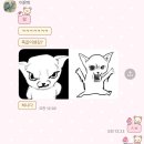 닥터티제이 | 25년아 가지마