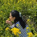 이영애농장 이미지