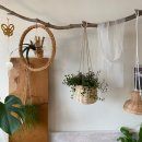 다인공예 | 부산 단체수업, 원예활동 라탄공예 행잉플랜트 바구니 만들기