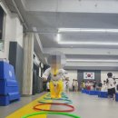 용인대백호태권도장 이미지