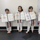 세종 고운 태권도 이미지